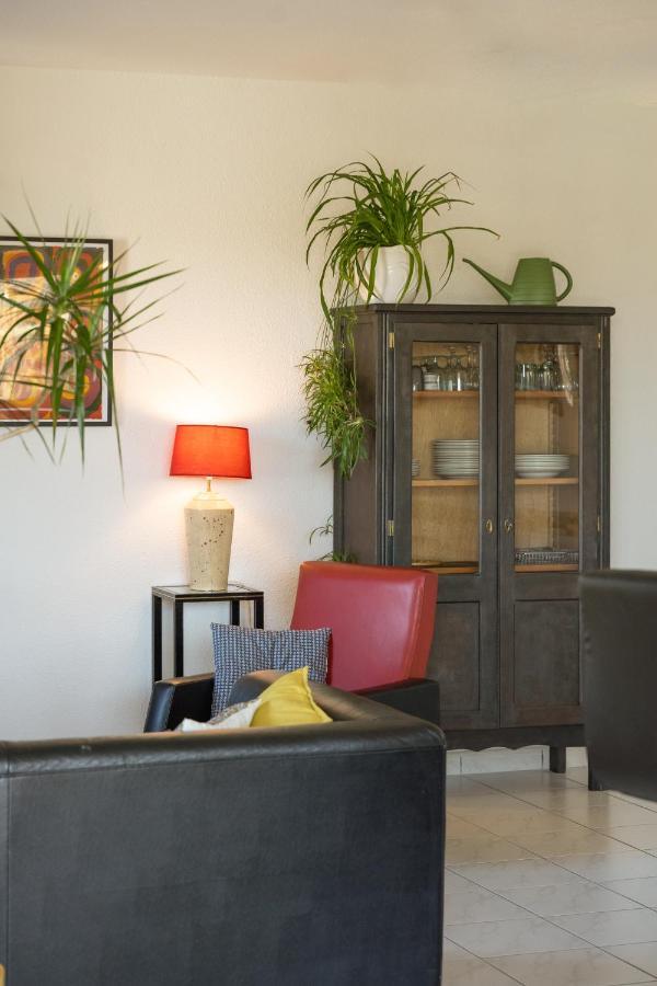 Le Clos Bellevue Appartement T3 Parking + Piscine ロデーズ エクステリア 写真